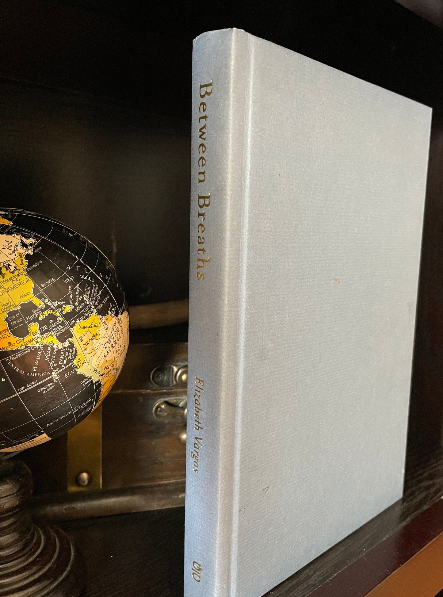 Between Breaths: A Memoir of Panic and Addiction - The Aged Page