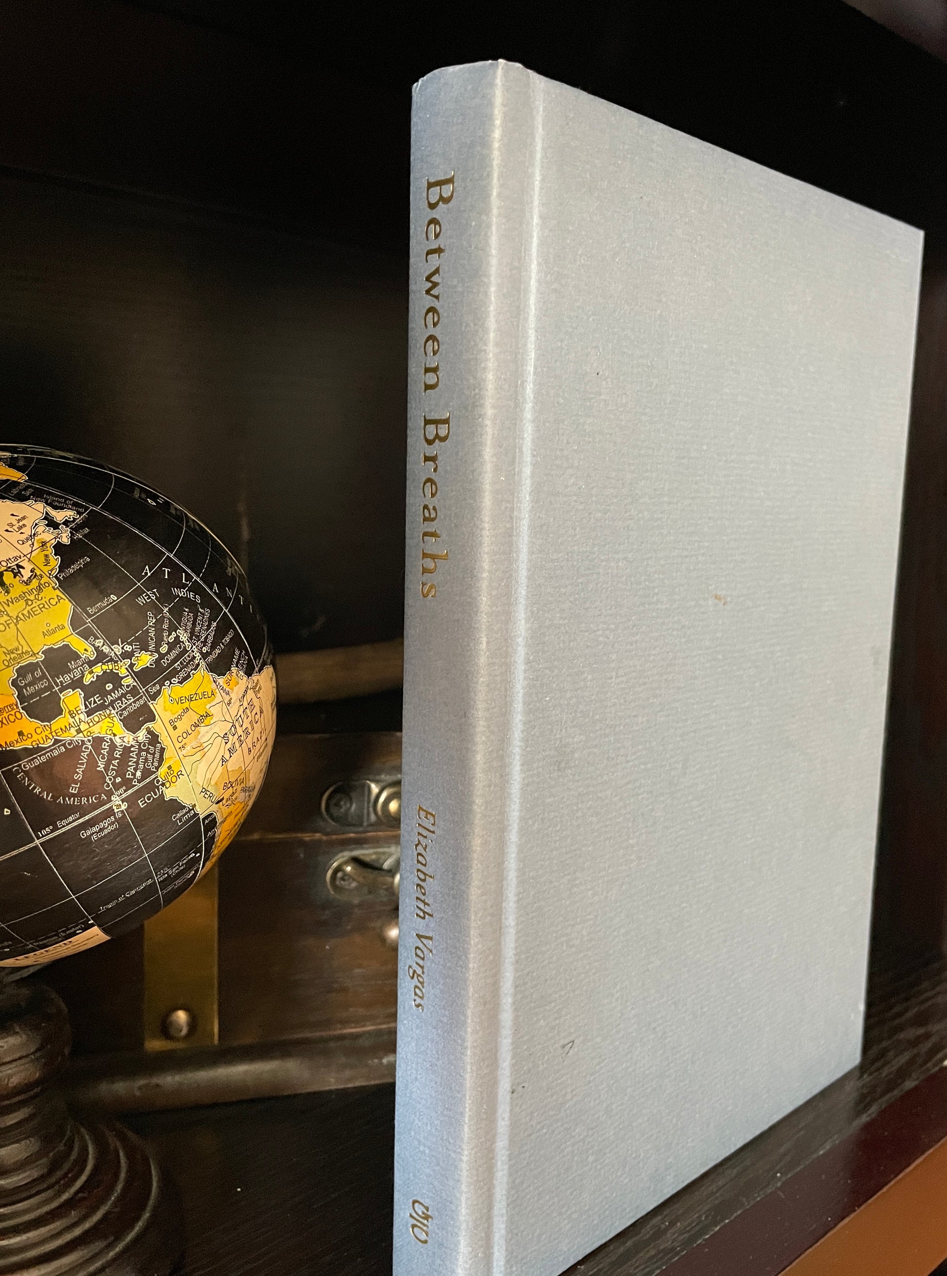 Between Breaths: A Memoir of Panic and Addiction - The Aged Page