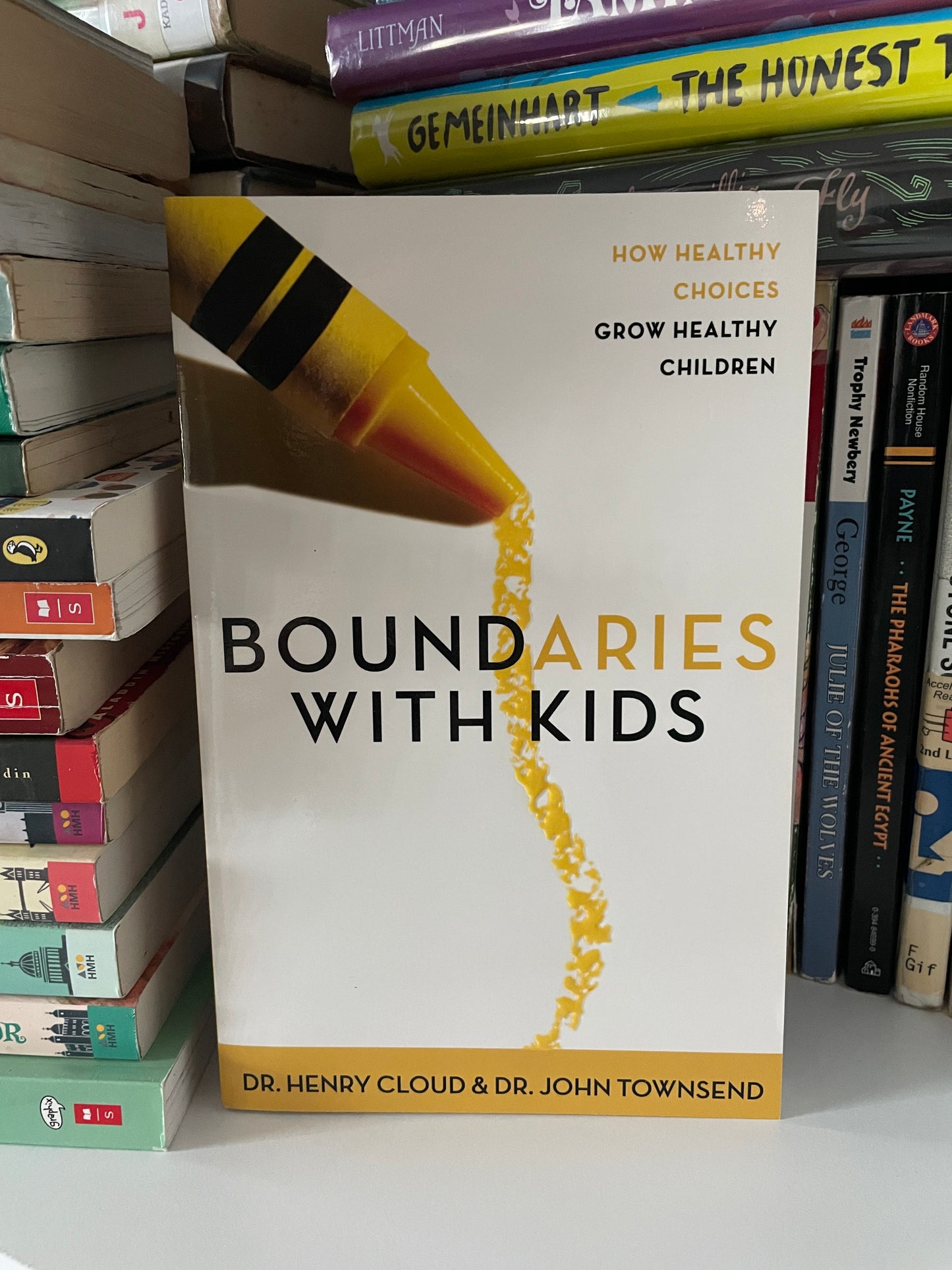Boundaries with Kids: How Healthy Choices Grow Healthy Children