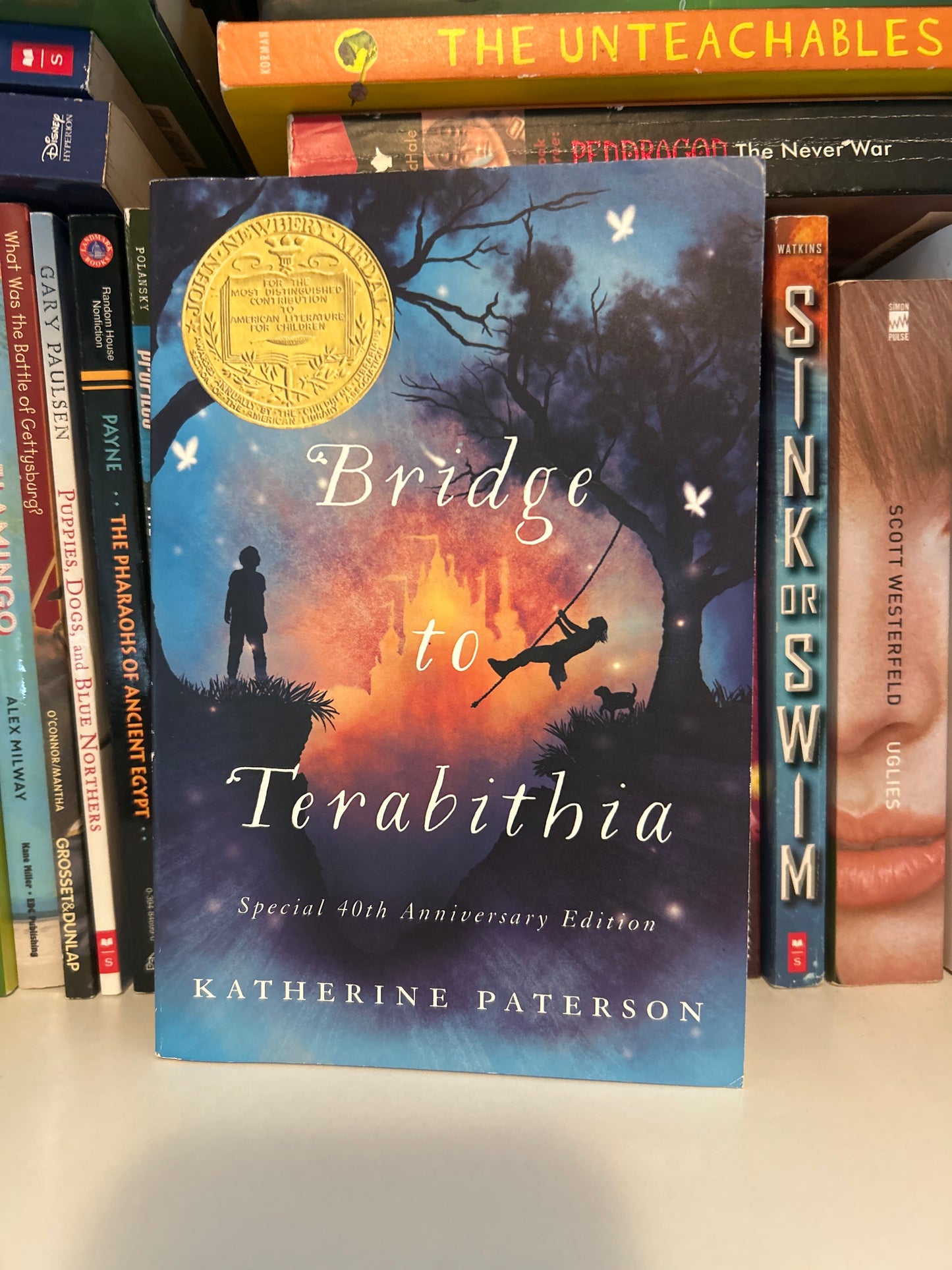 Bridge to Terabithia
