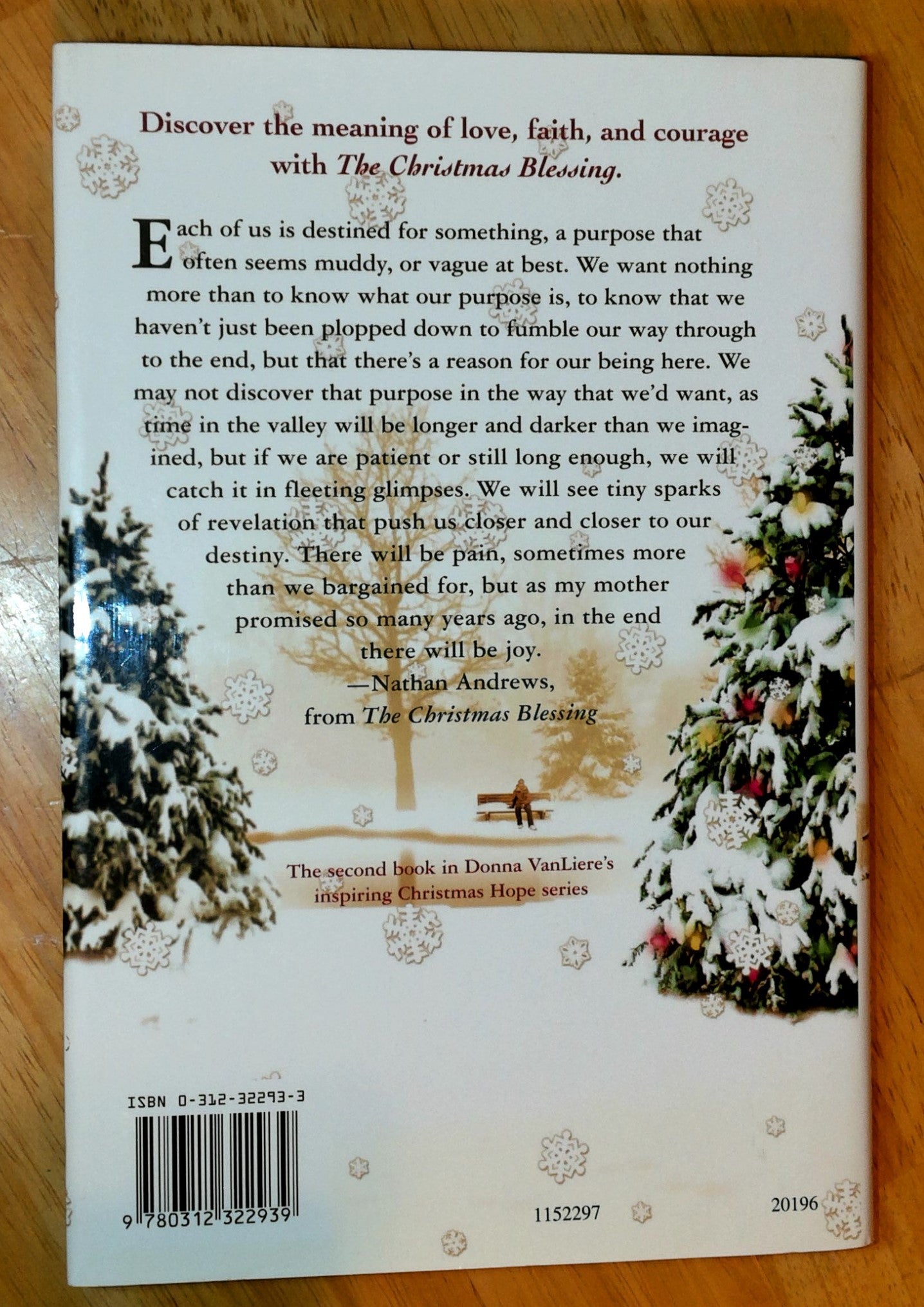 The Christmas Blessing (Christmas Hope Series #2) - The Aged Page