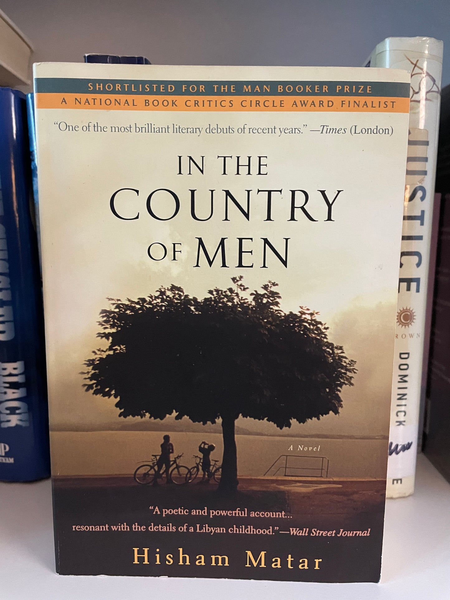 In the Country of Men: A Novel