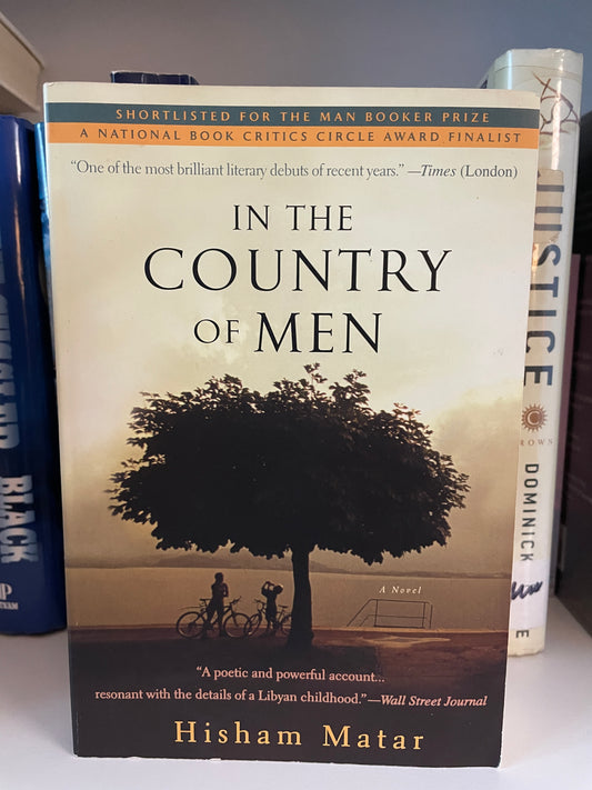 In the Country of Men: A Novel