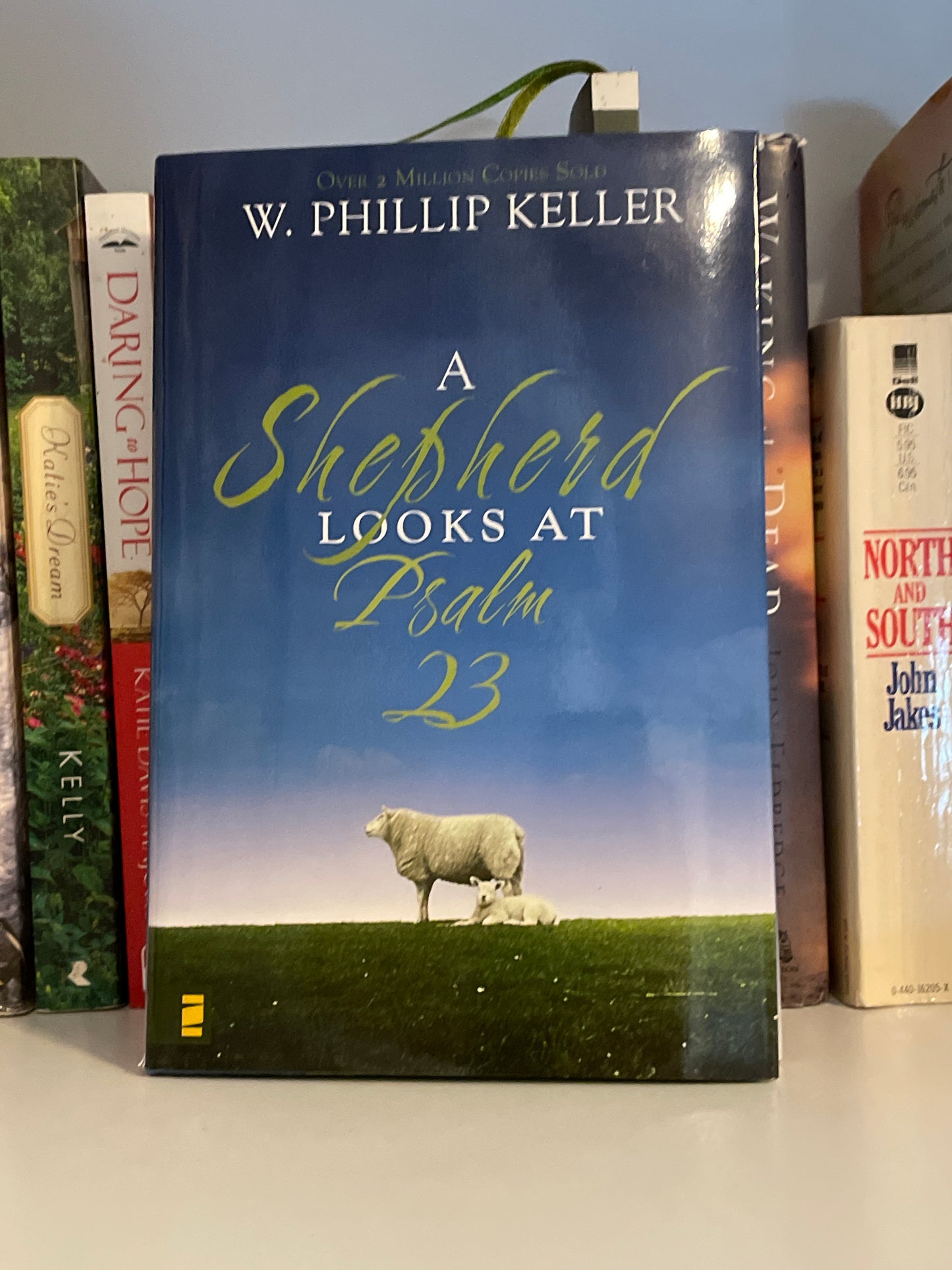 A Shepherd Looks at Psalm 23