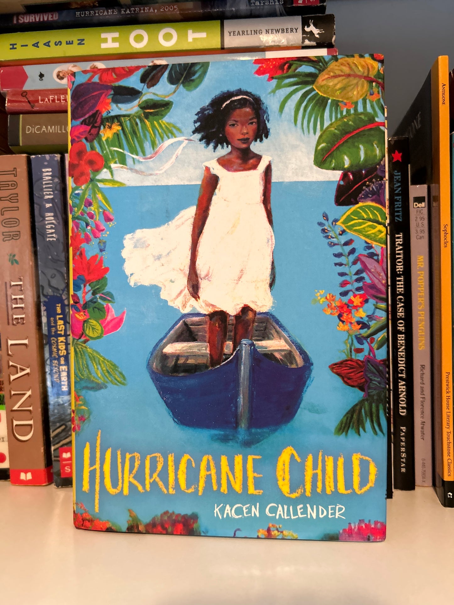Hurricane Child (Scholastic Gold)