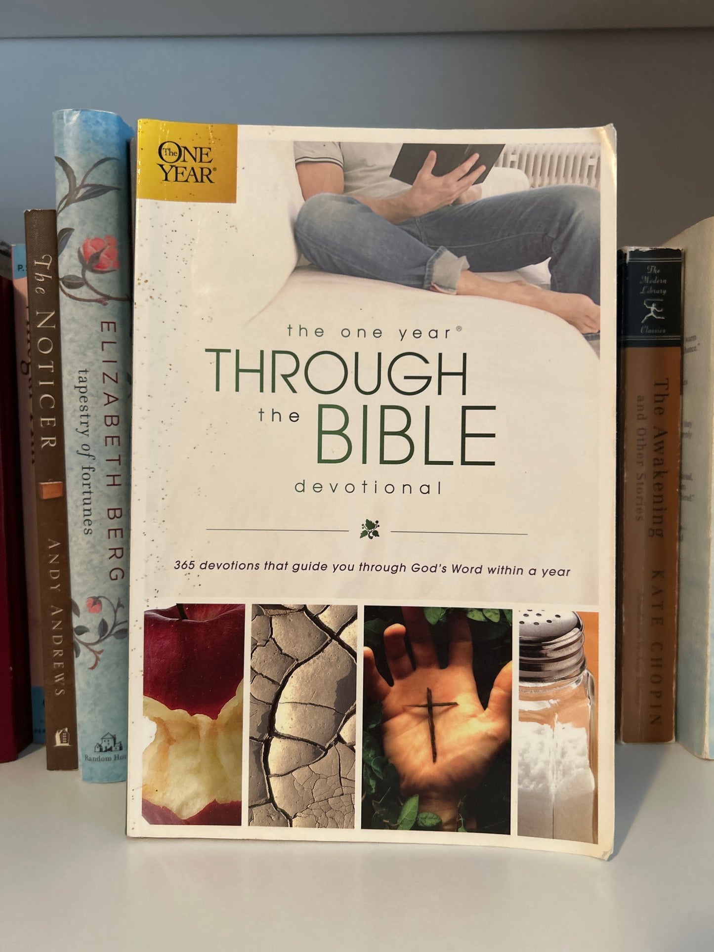 The One Year Through the Bible Devotional: 365 Devotions That Guide You Through God's Word within a Year (One Year Books)