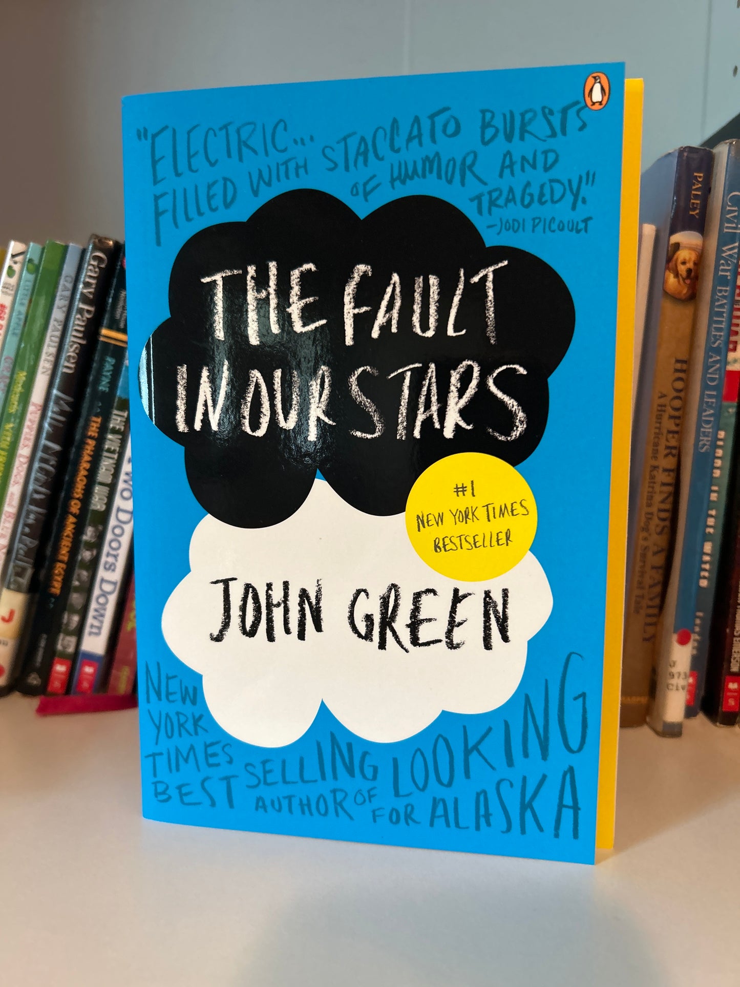 The Fault in Our Stars