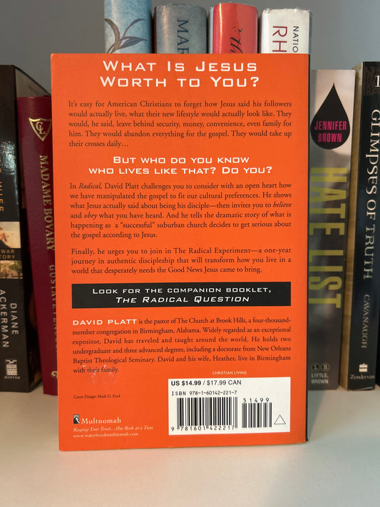 Radical: Taking Back Your Faith from the American Dream (Copy 2)