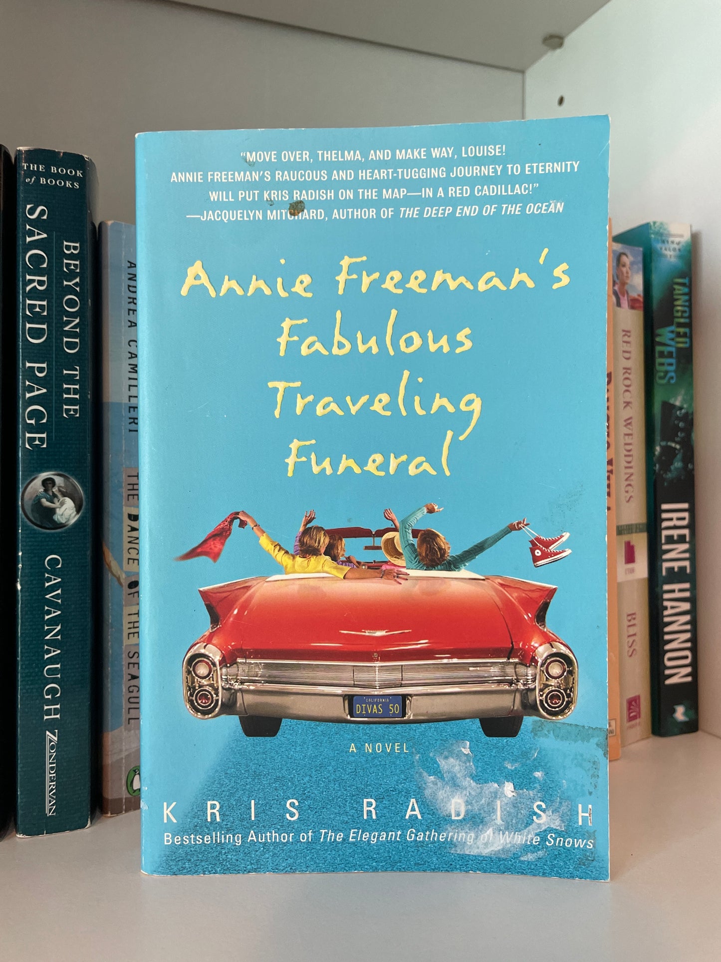 Annie Freeman's Fabulous Traveling Funeral: A Novel
