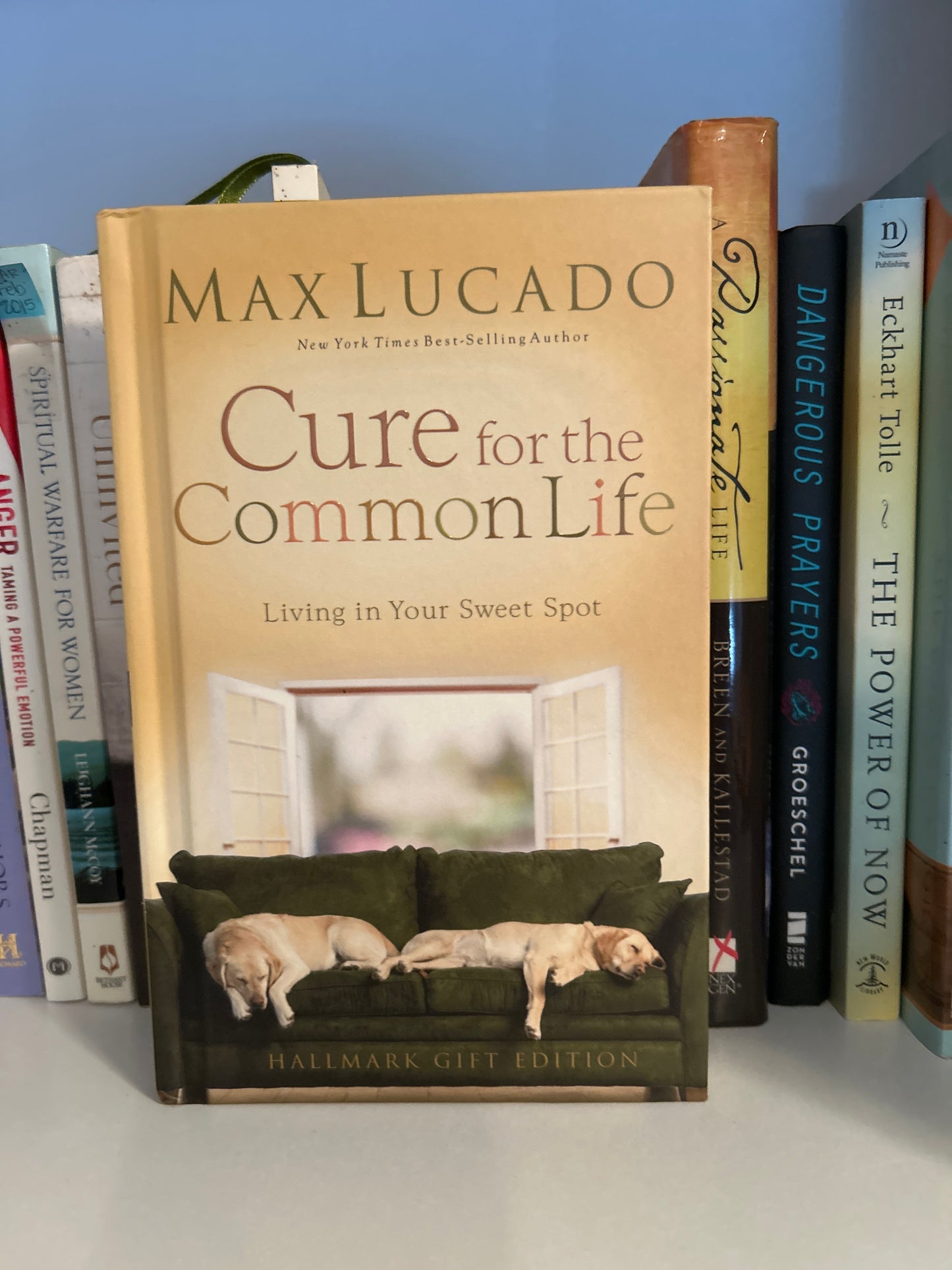 Cure for the Common Life