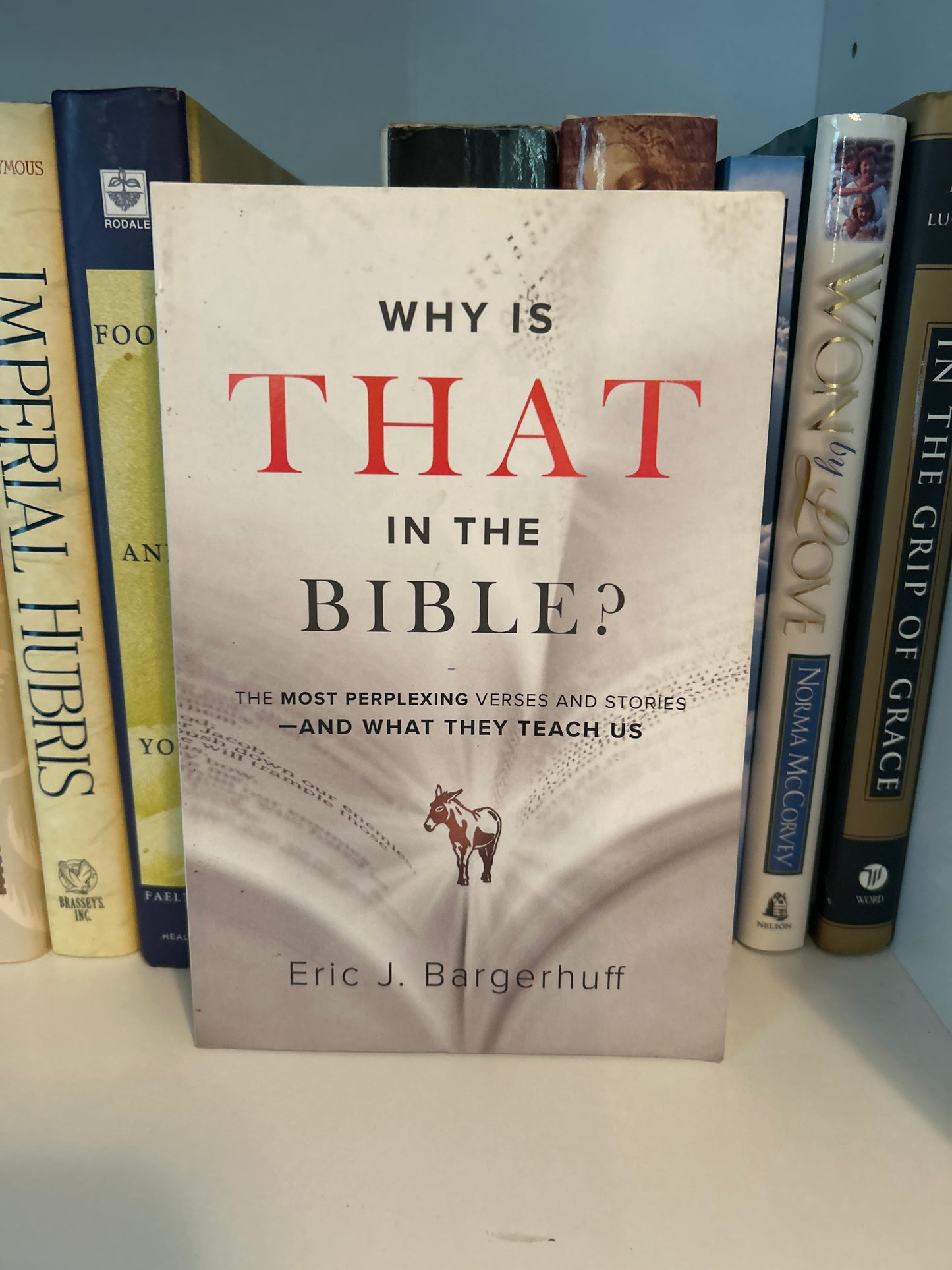 Why Is That in the Bible?: The Most Perplexing Verses and Stories—and What They Teach Us