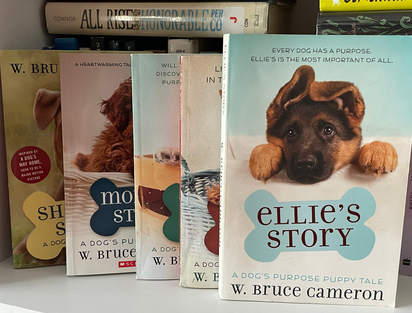 Ellie’s Story: A Dog’s Purpose Puppy Tale