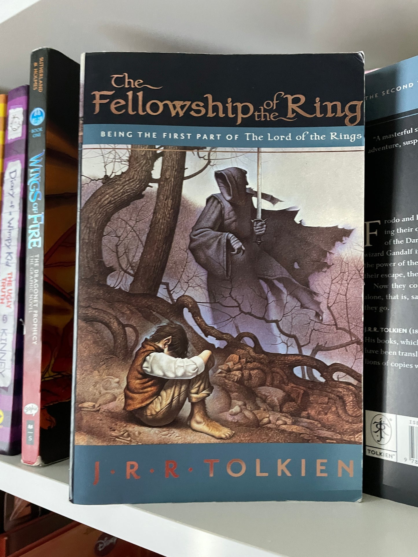 The Fellowship of the Ring (Book 1)