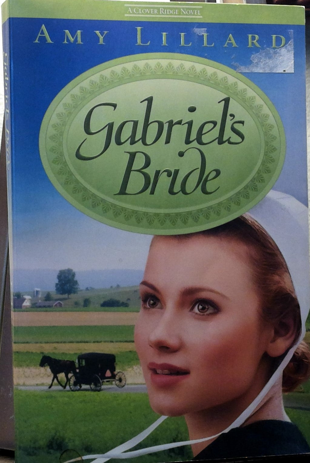 Gabriel's Bride book cover