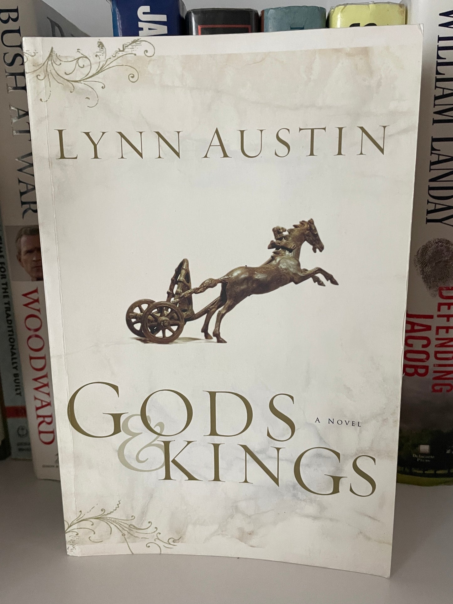 Gods and Kings (Chronicles of the Kings #1)