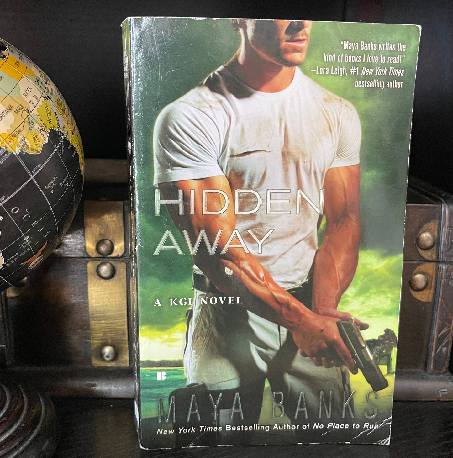 Hidden Away (A KGI Novel) - The Aged Page