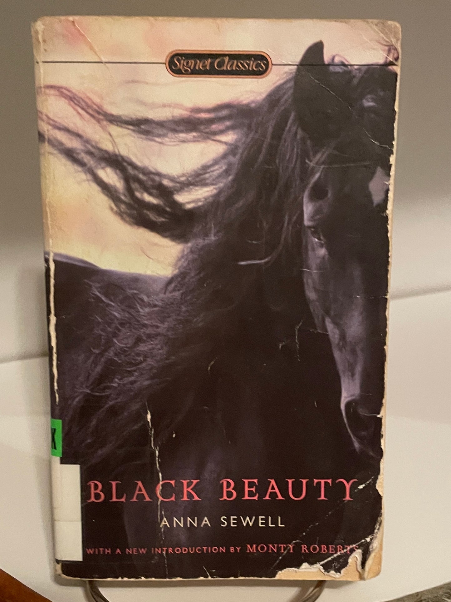 Black Beauty (Signet Classics) - The Aged Page