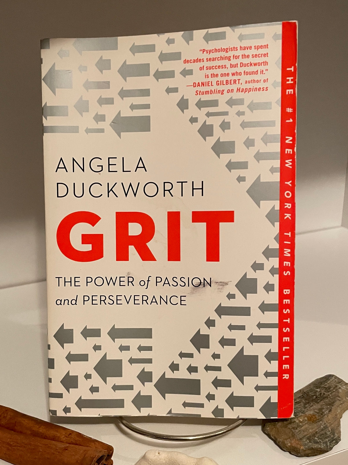 Grit: The Power of Passion and Perseverance - The Aged Page