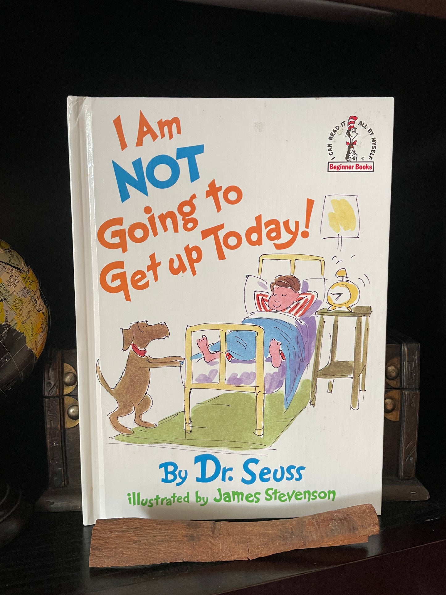 I Am Not Going to Get Up Today! - The Aged Page