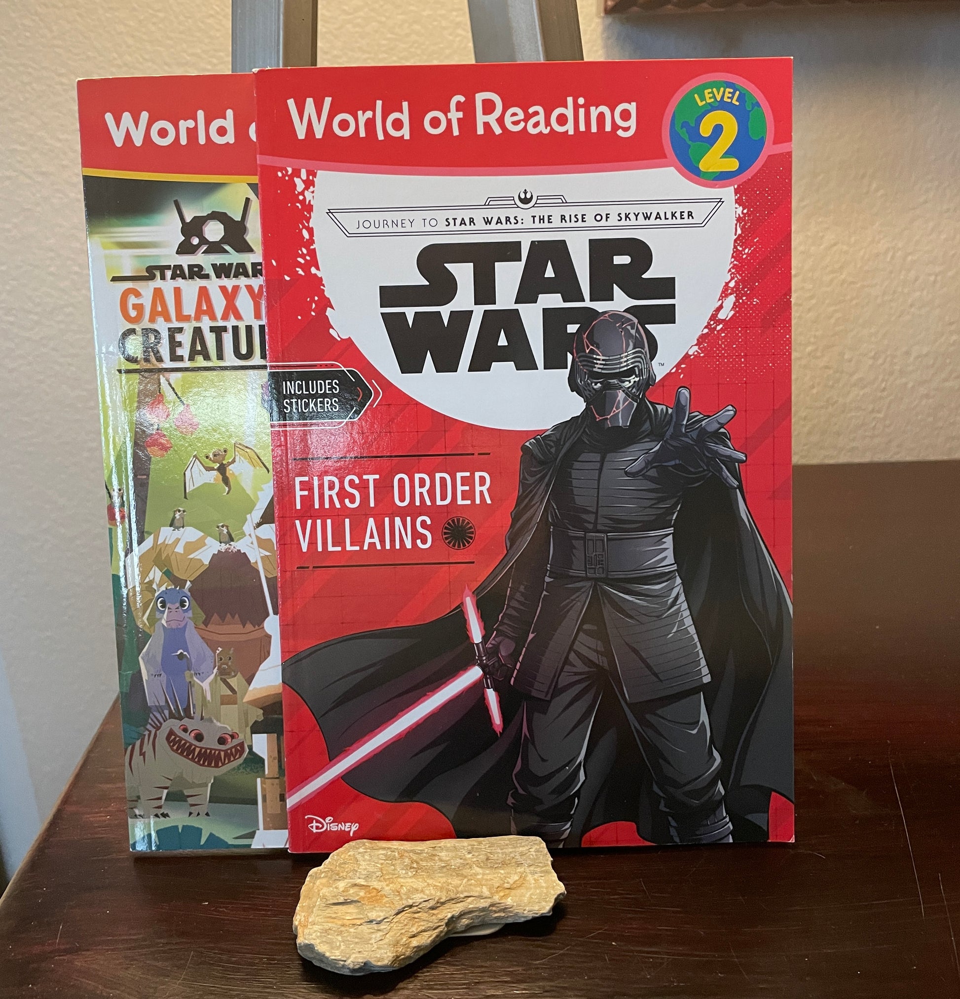 Journey to Star Wars: The Rise of Skywalker: First Order Villains-Level 2 Reader (World of Reading) - The Aged Page