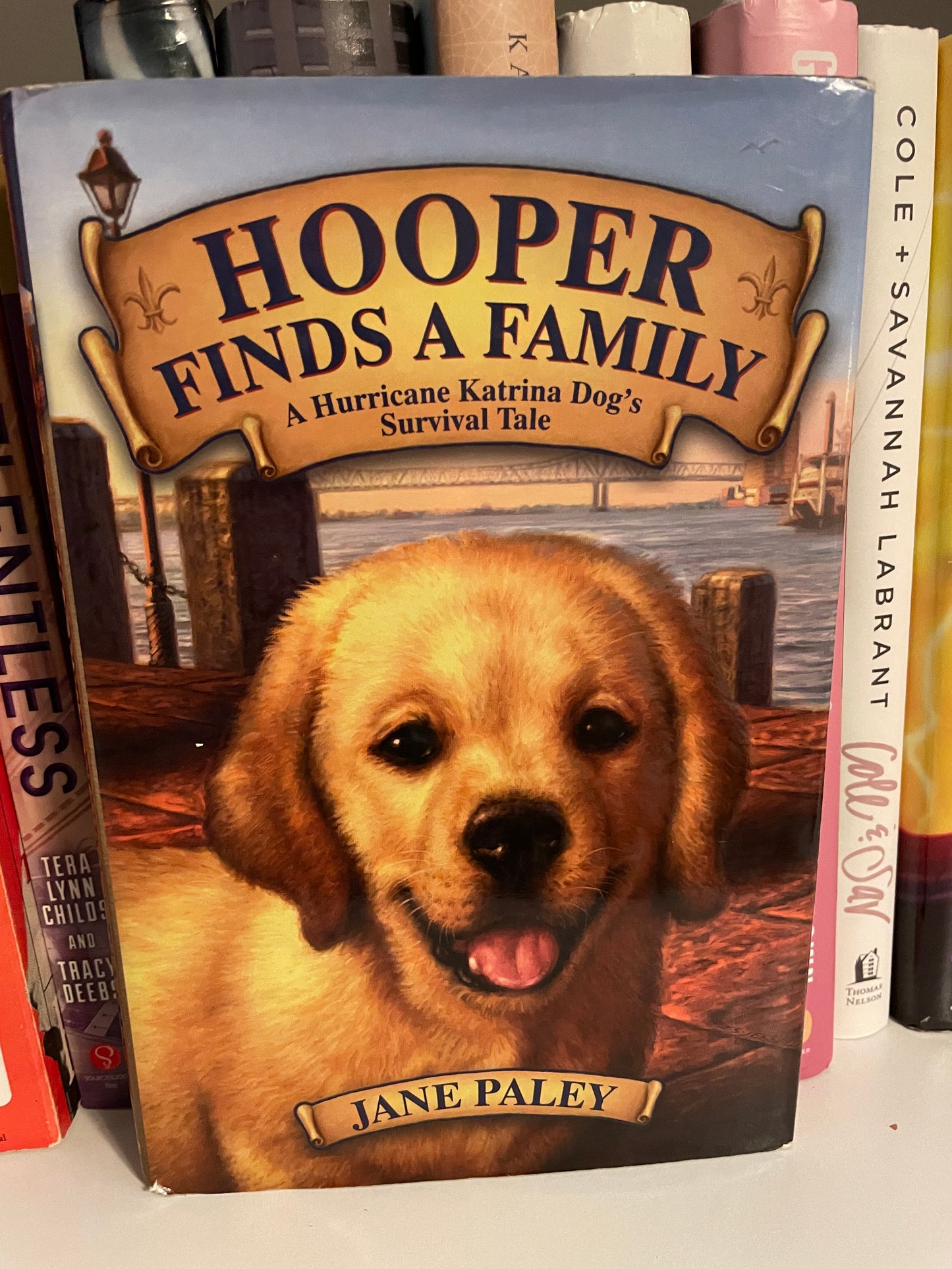 Hooper Finds a Family: A Hurricane Katrina Dog's Survival Tale