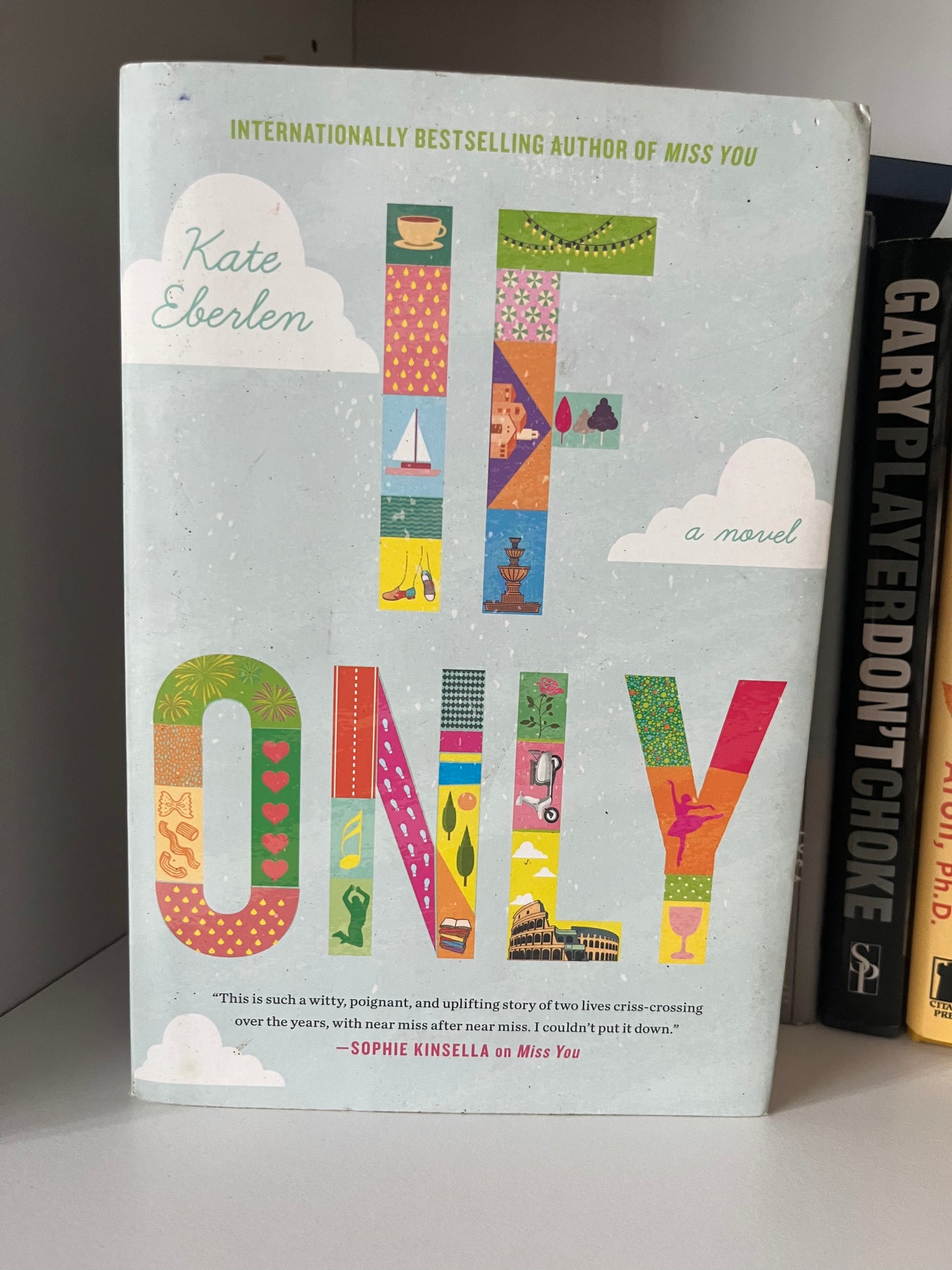 If Only: A Novel