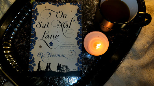 On Sal Mal Lane: A Novel - The Aged Page