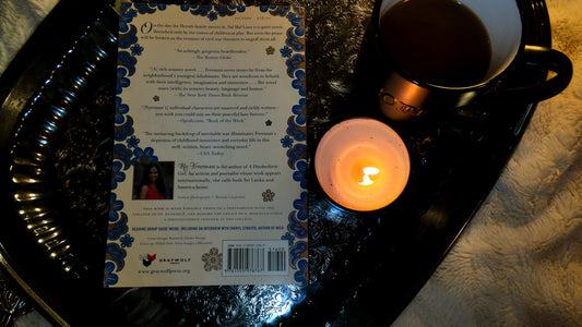 On Sal Mal Lane: A Novel - The Aged Page