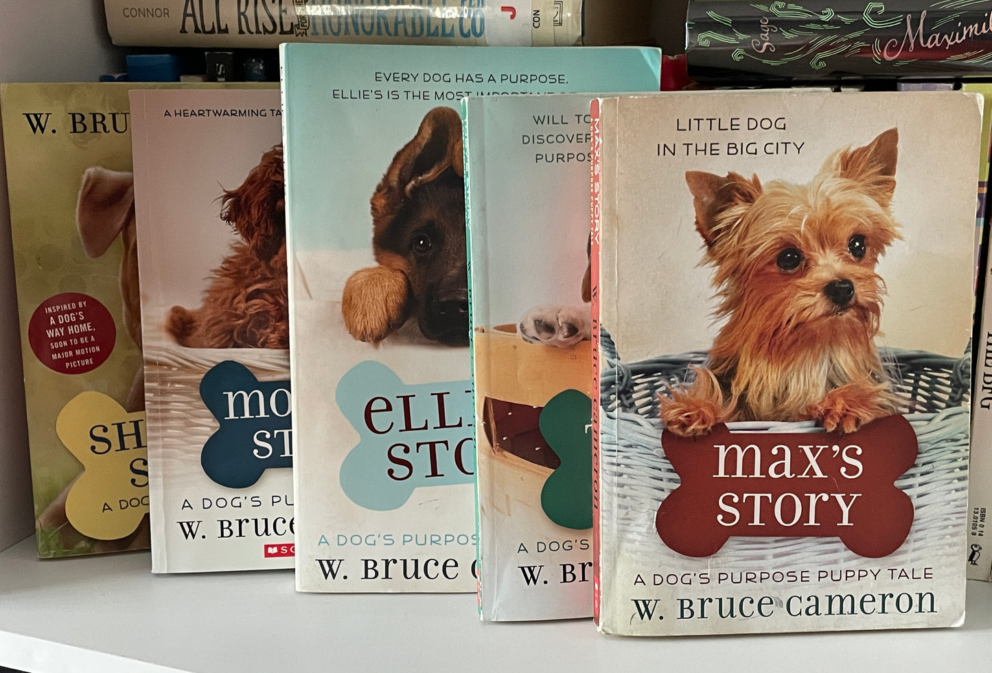 Max's Story (Puppy Tales: A Dog's Purpose #4)