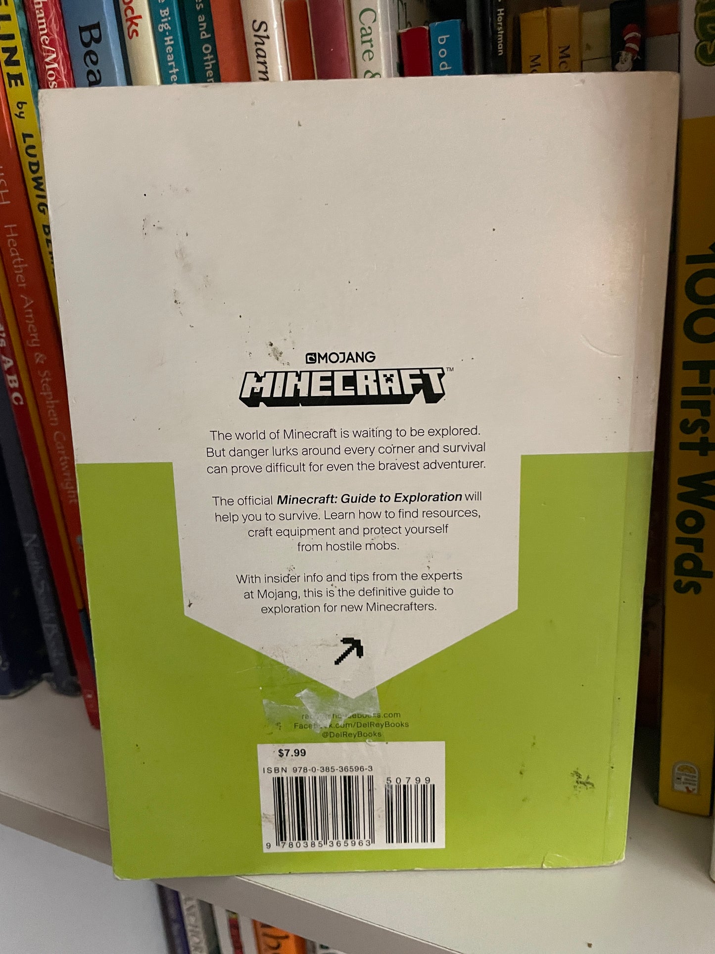 Minecraft Guide to Exploration