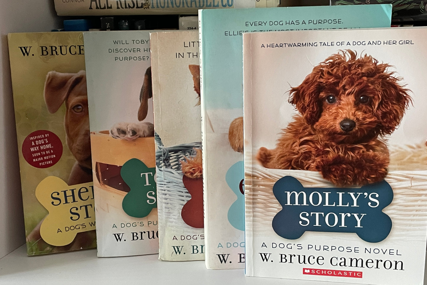 Molly's Story: A Dog's Purpose Novel