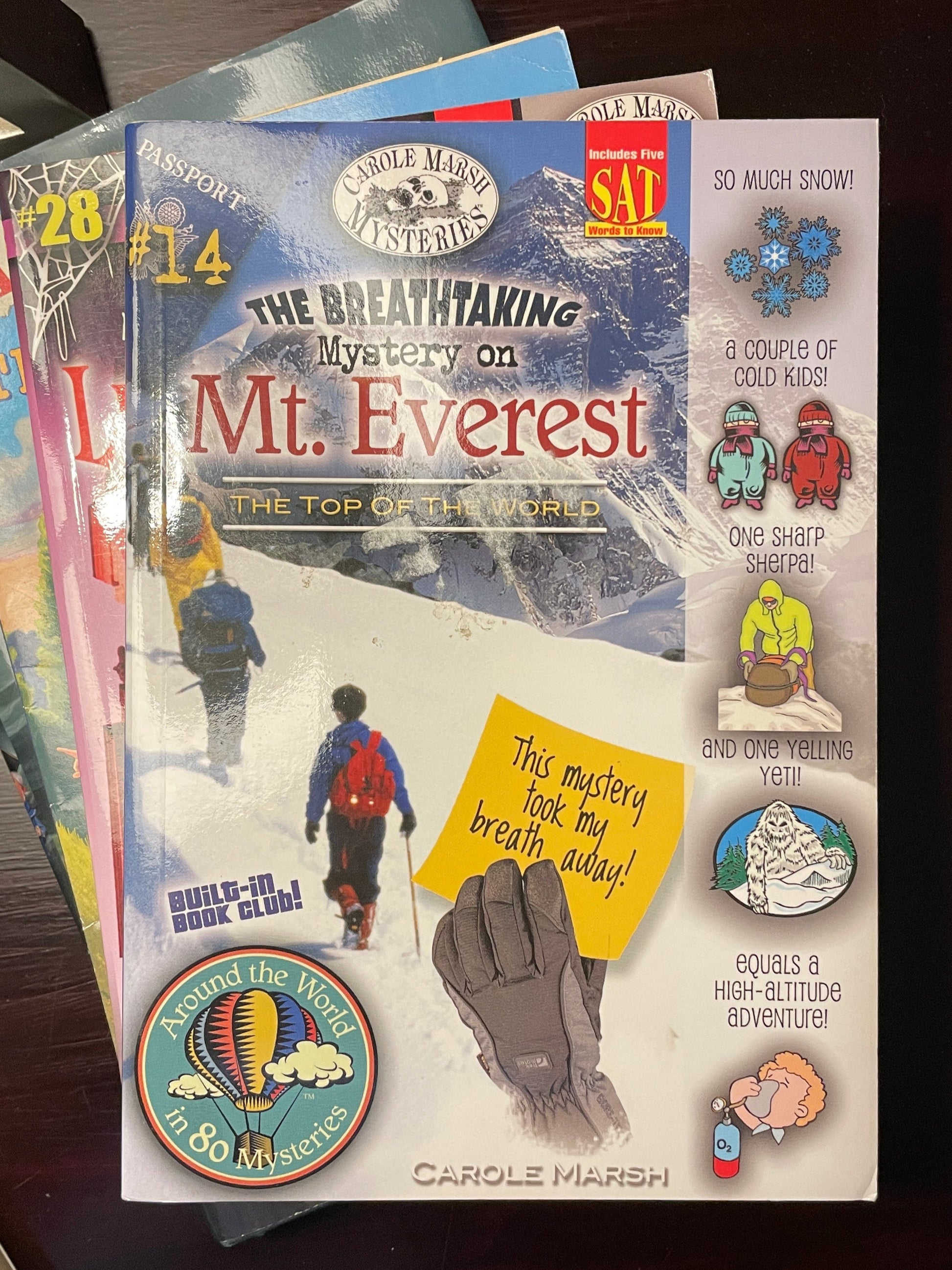 Mystery of Mount Everest book cover