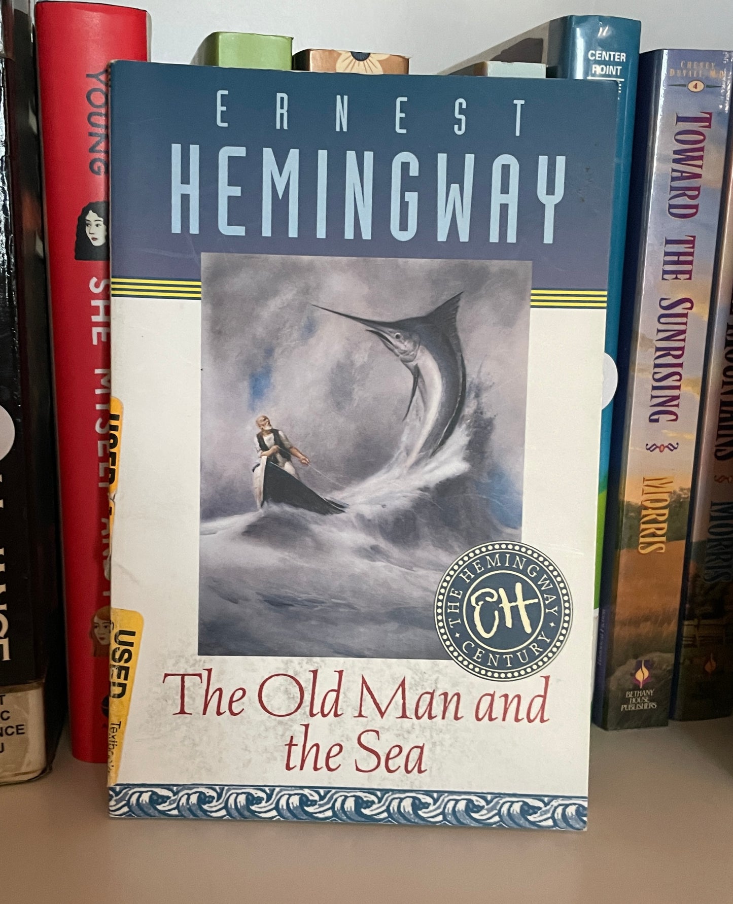 The Old Man and the Sea book cover
