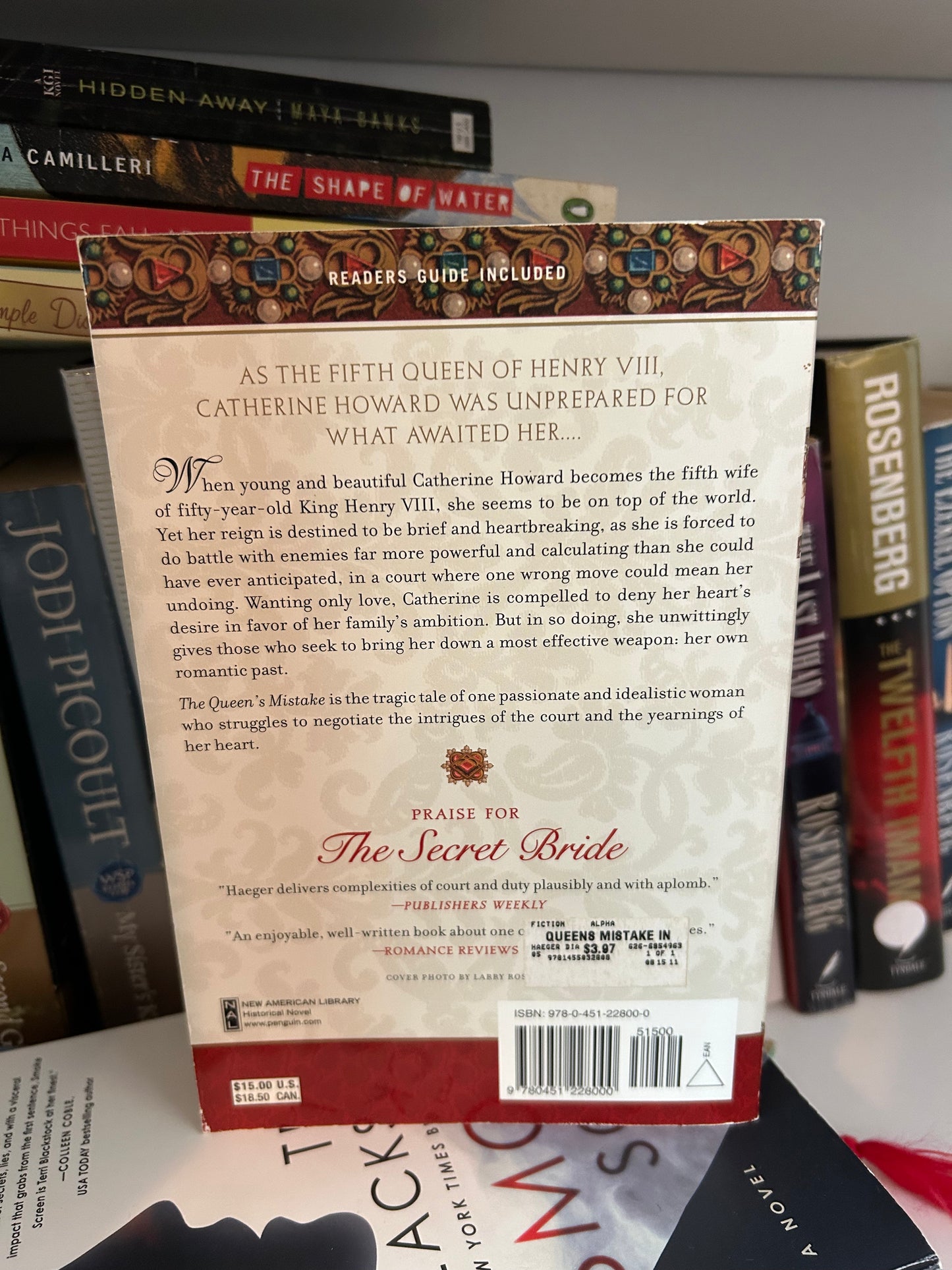 The Queen's Mistake: In the Court of Henry VIII (Henry VIII's Court)
