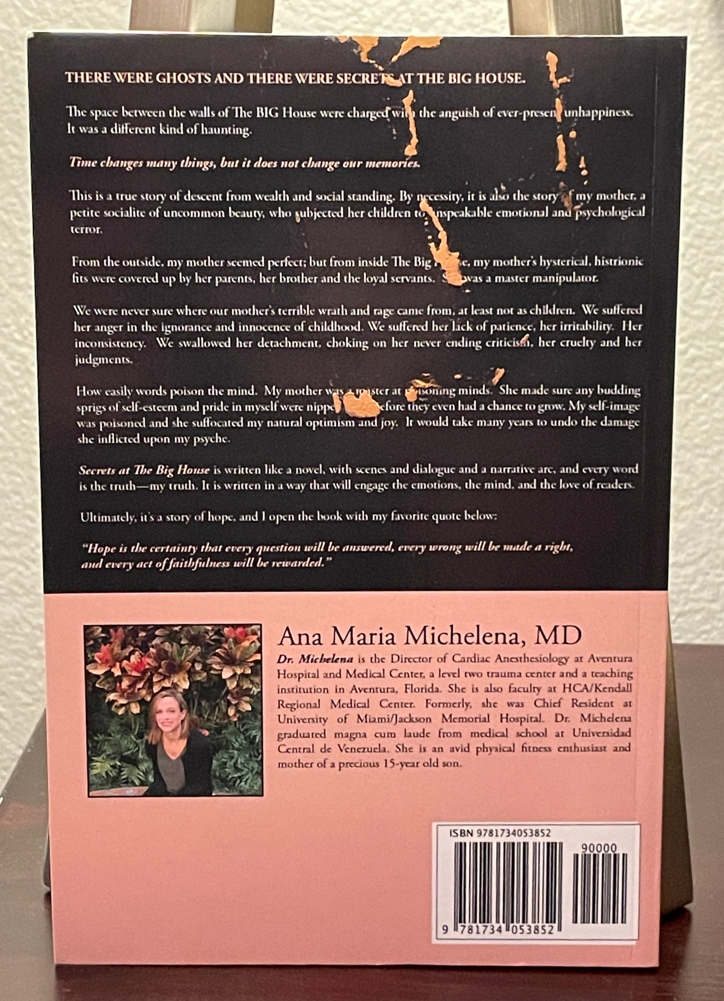 Secrets at The Big House: Overcoming The Damage Of A Narcissistic Mother And An Emotionally Absent Father (Lessons in Resilience)