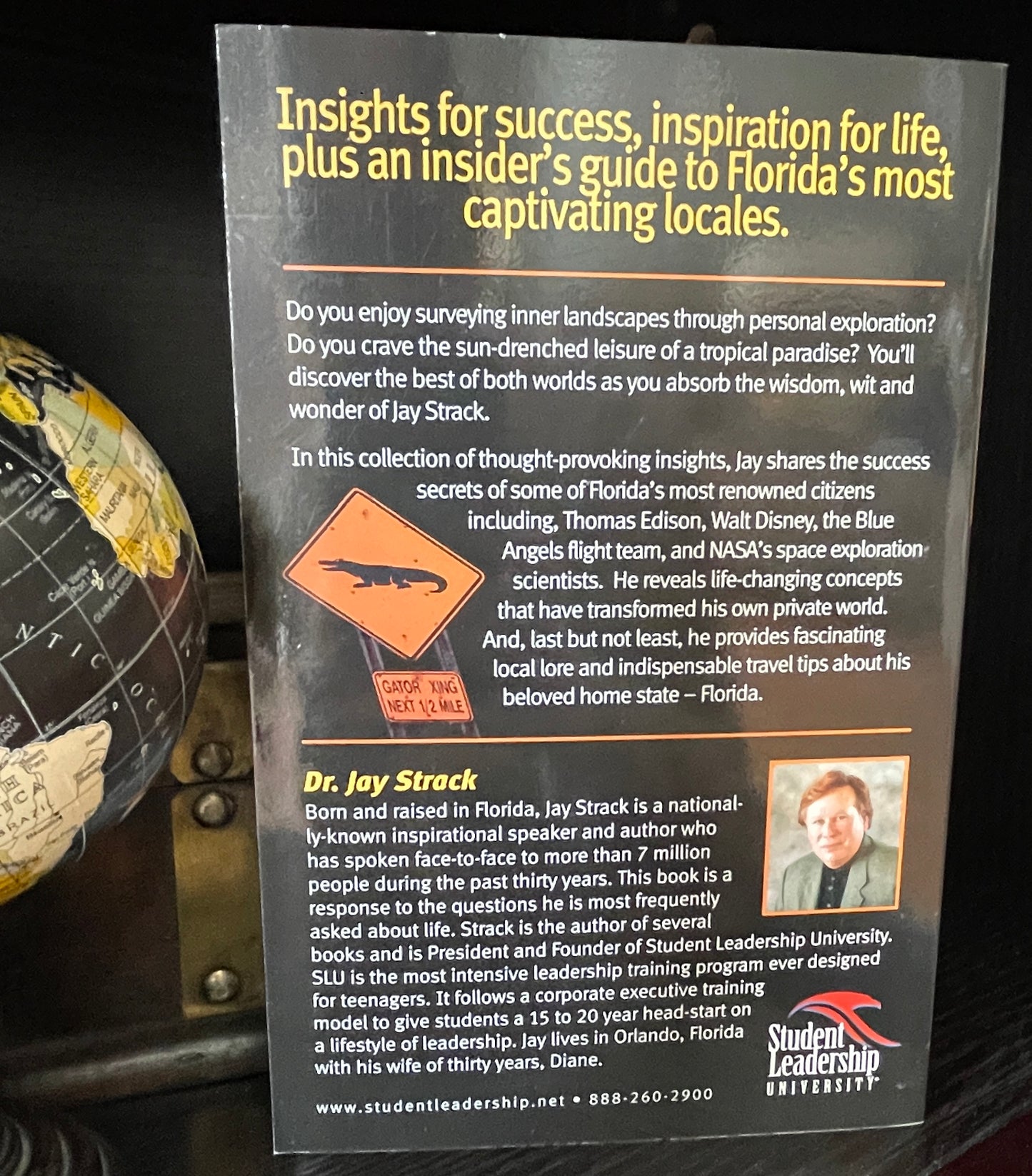 Everything Worth Knowing I Learned Growing Up in Florida - The Aged Page