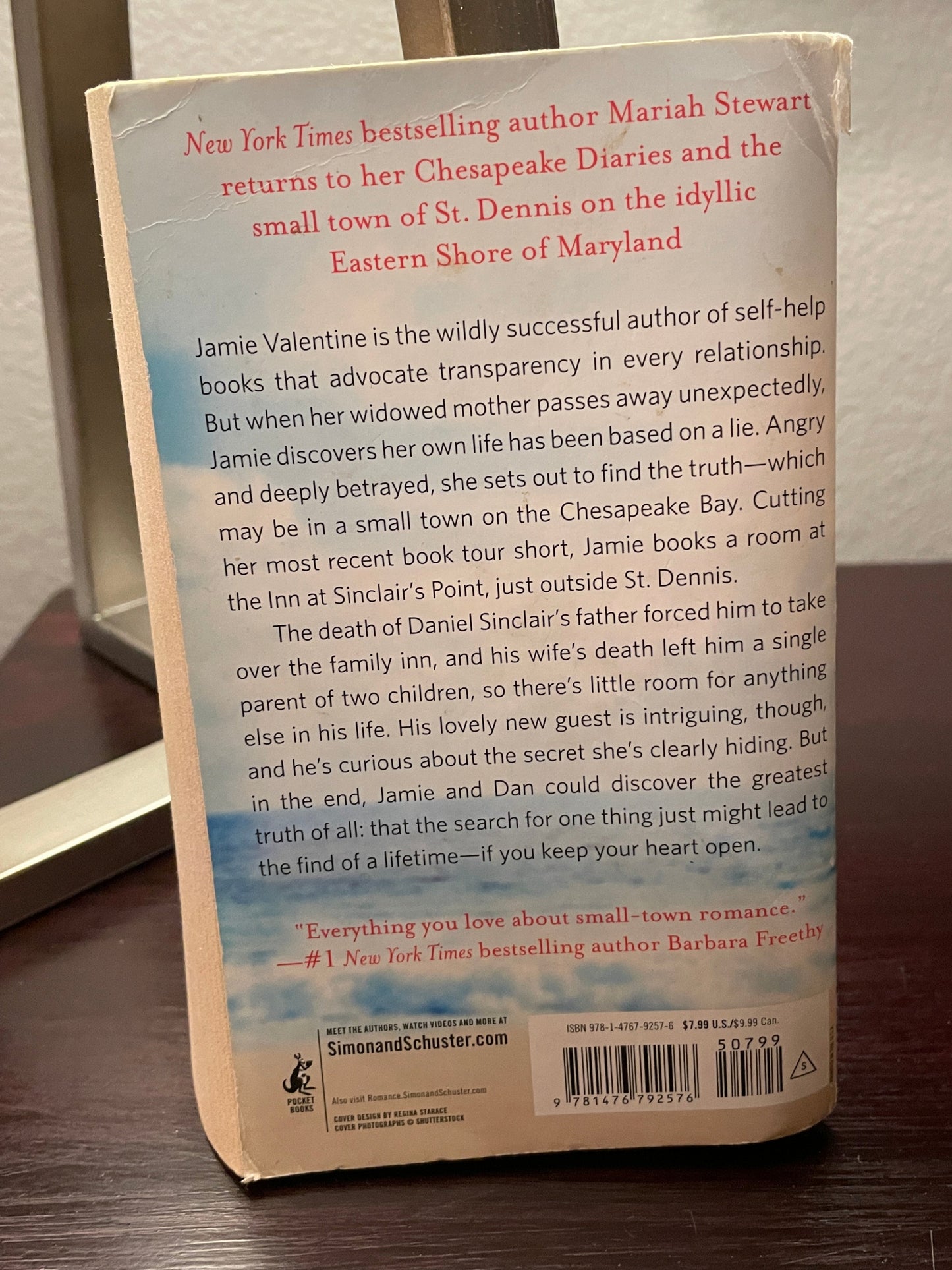 That Chesapeake Summer (9) (The Chesapeake Diaries)