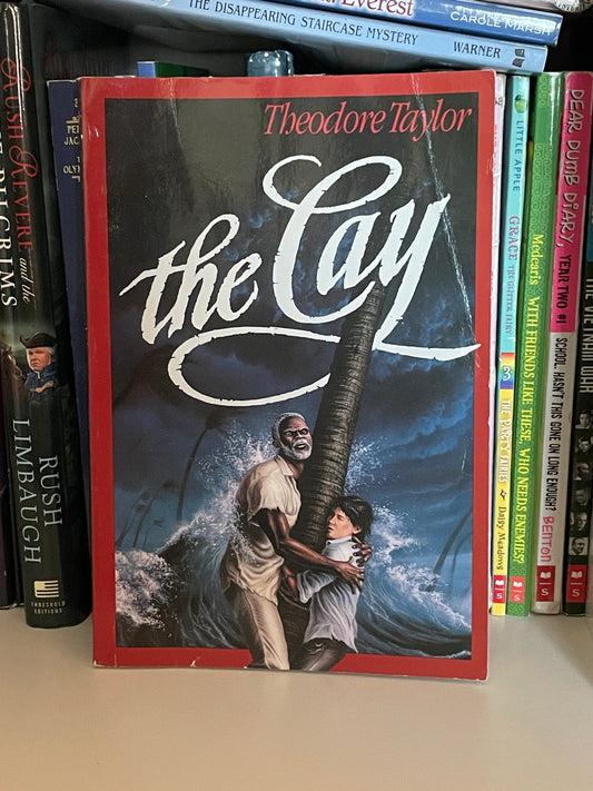 The Cay book cover