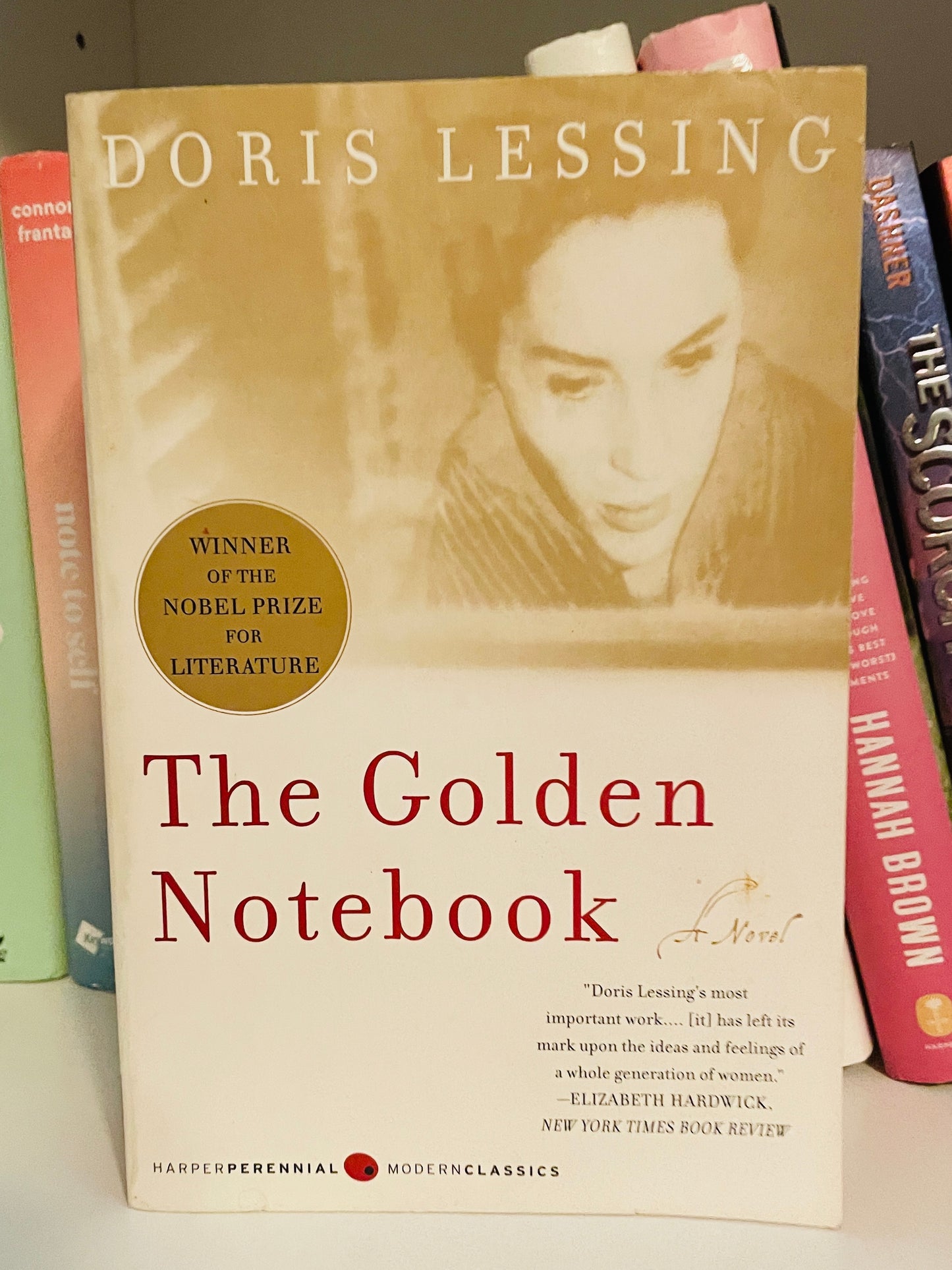 The Golden Notebook