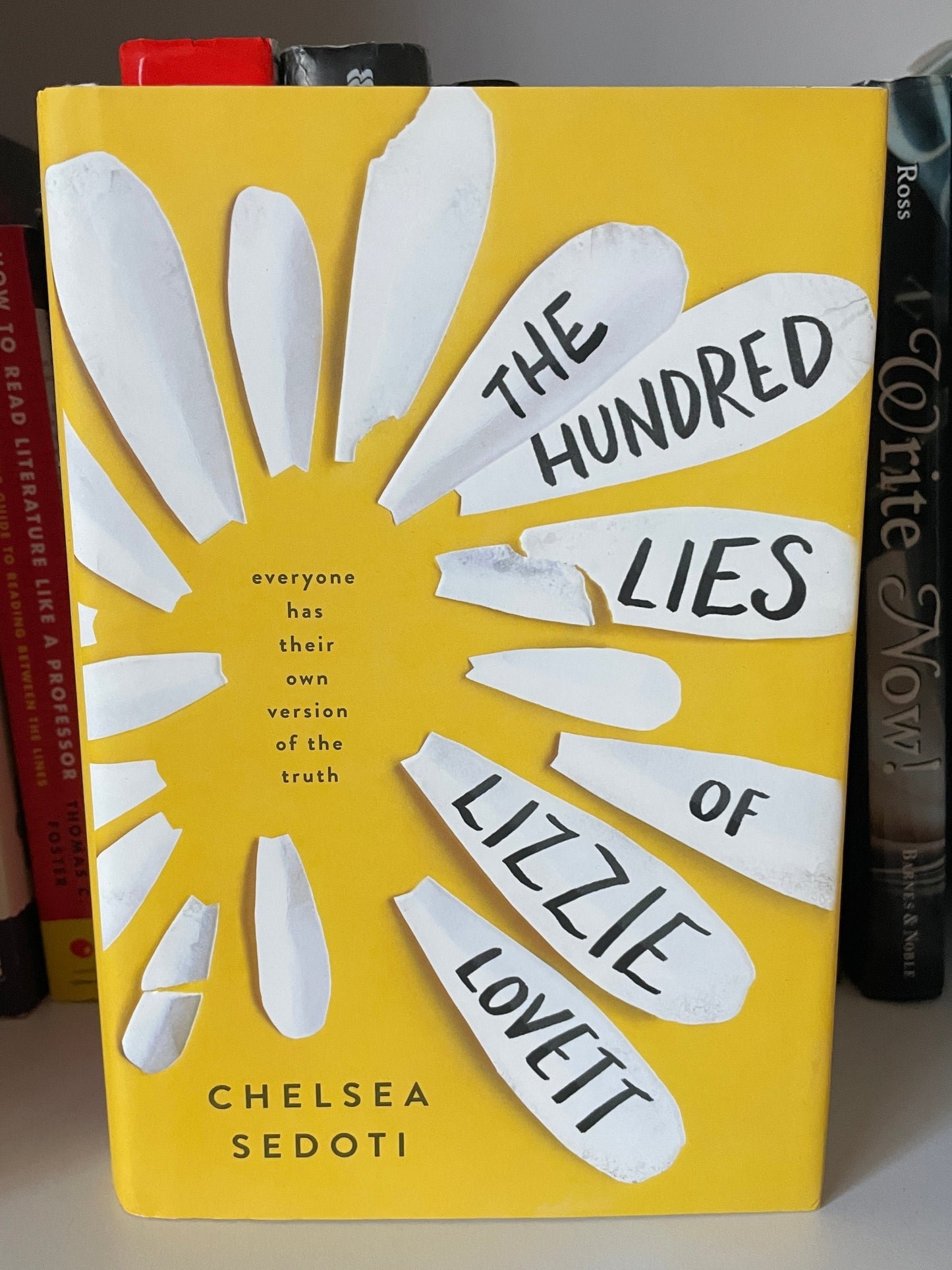 The Hundred Lies of Lizzie Lovett
