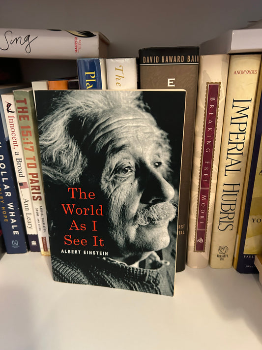 The World As I See It