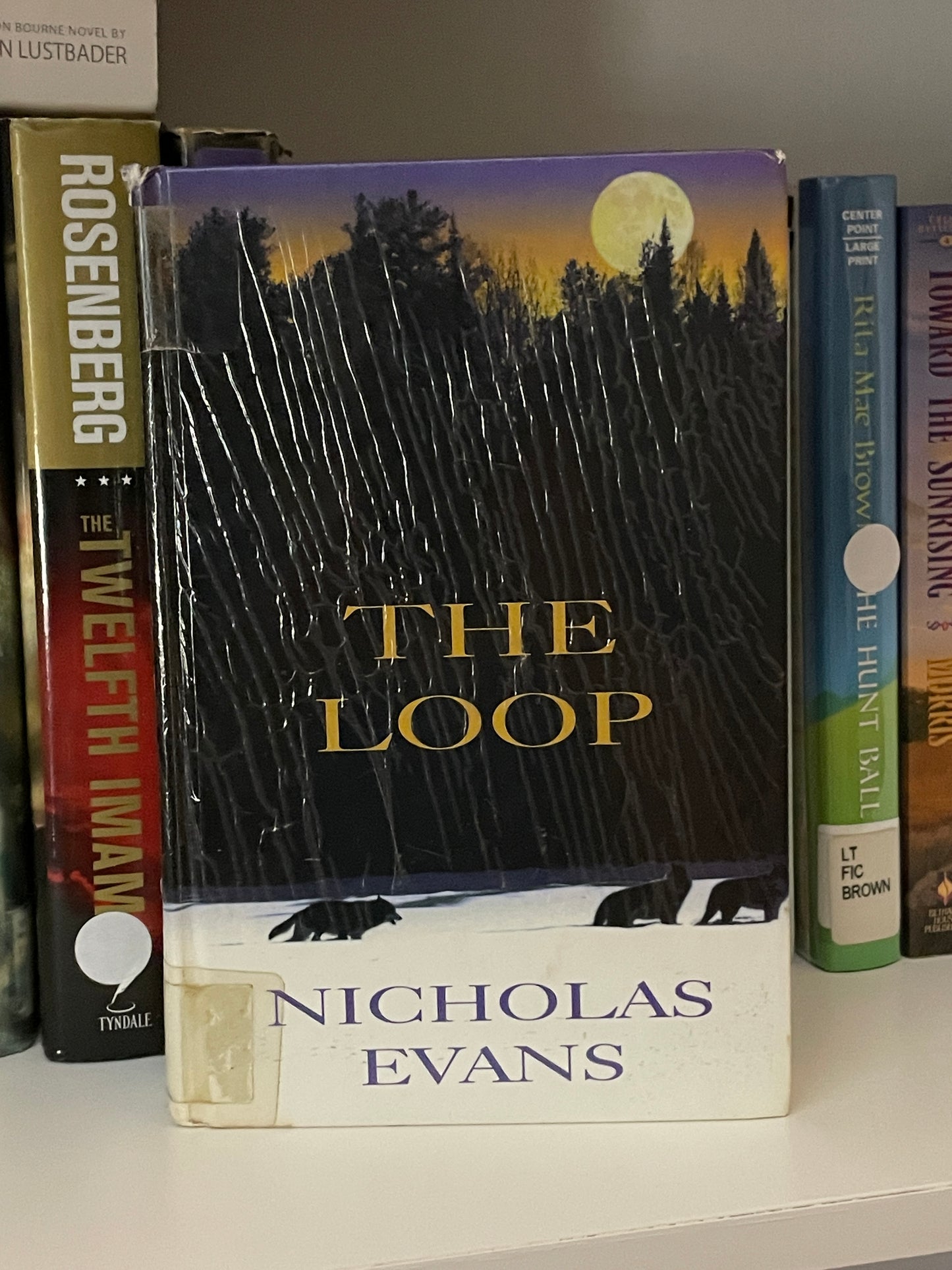 The Loop book cover