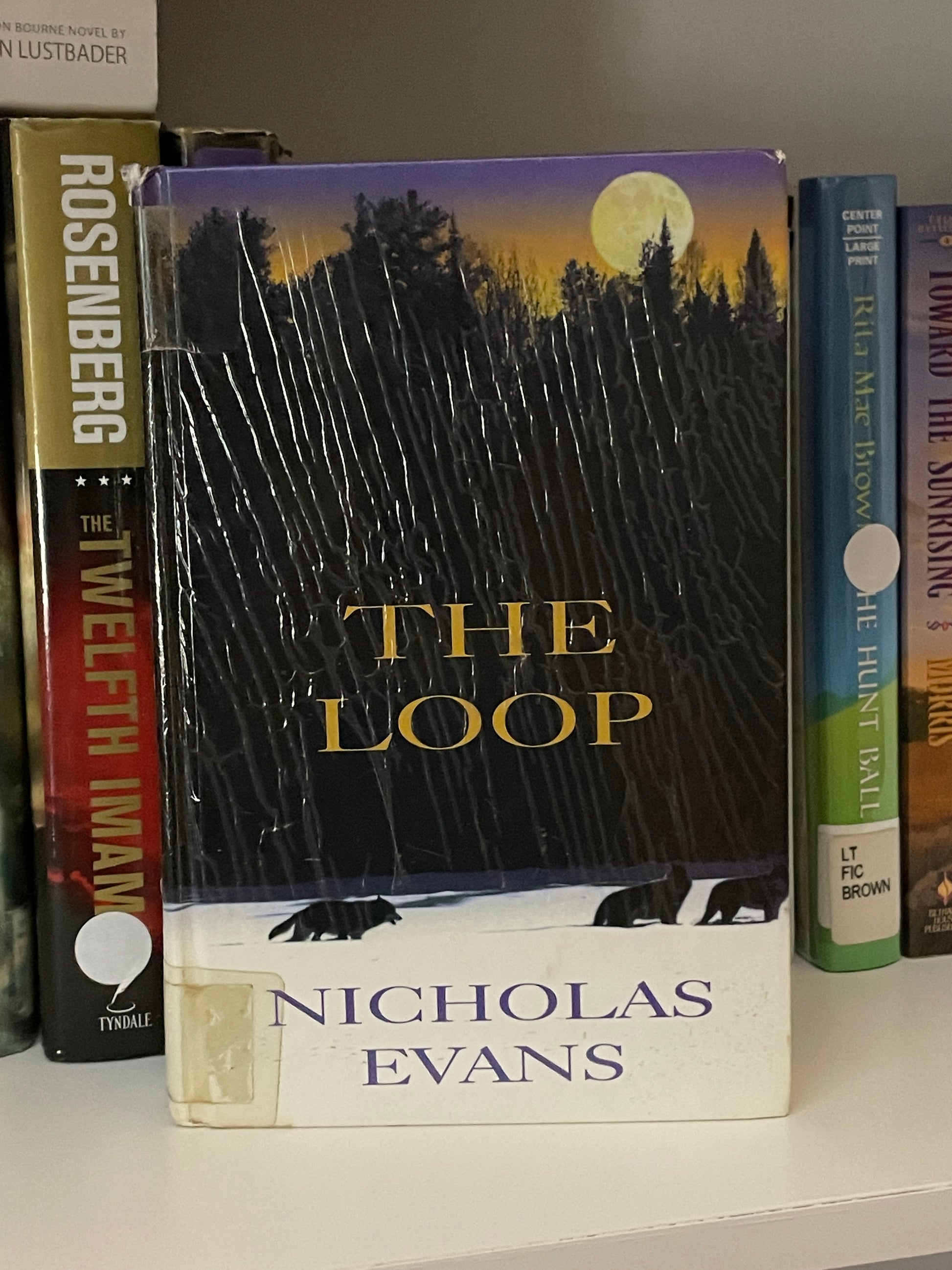 The Loop book cover