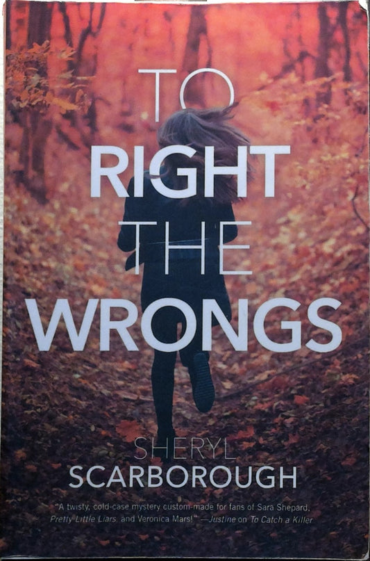 To Right the Wrongs (Erin Blake, 2)