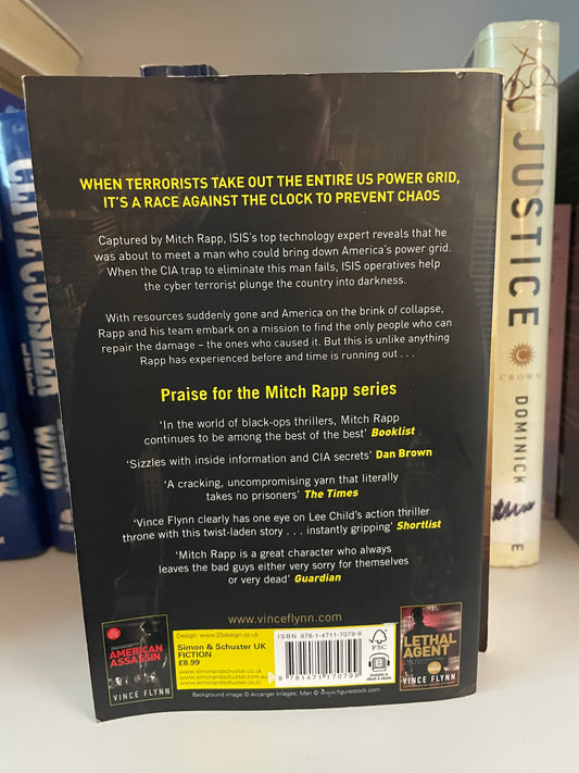 Total Power (Volume 19) (The Mitch Rapp Series)