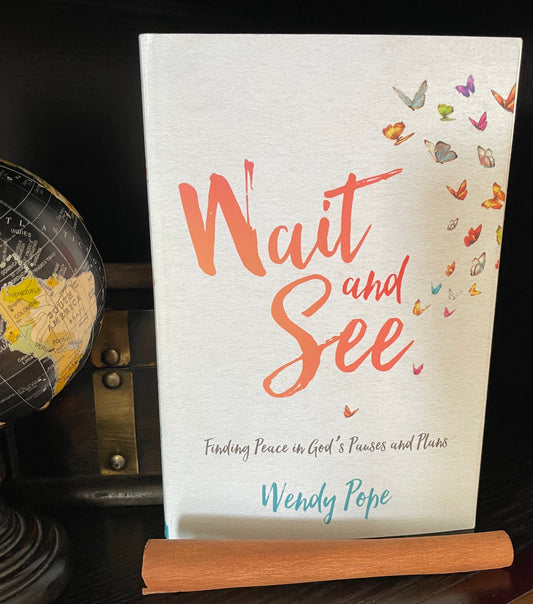 Wait and See: Finding Peace in God's Pauses and Plans - The Aged Page