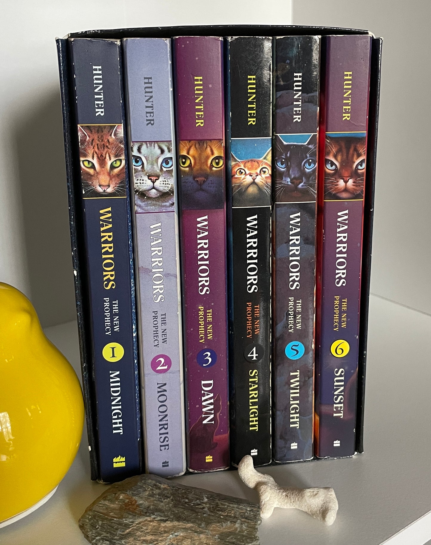 Warriors: The New Prophecy Box Set: Volumes 1 to 6 - The Aged Page