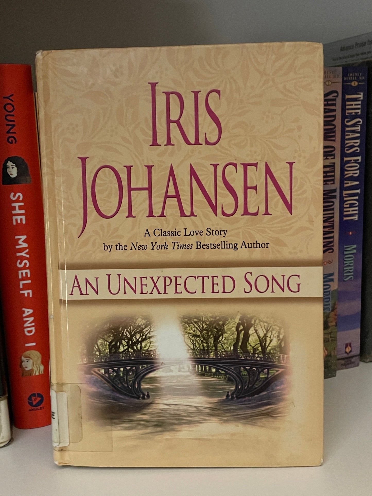 An Unexpected Song book cover