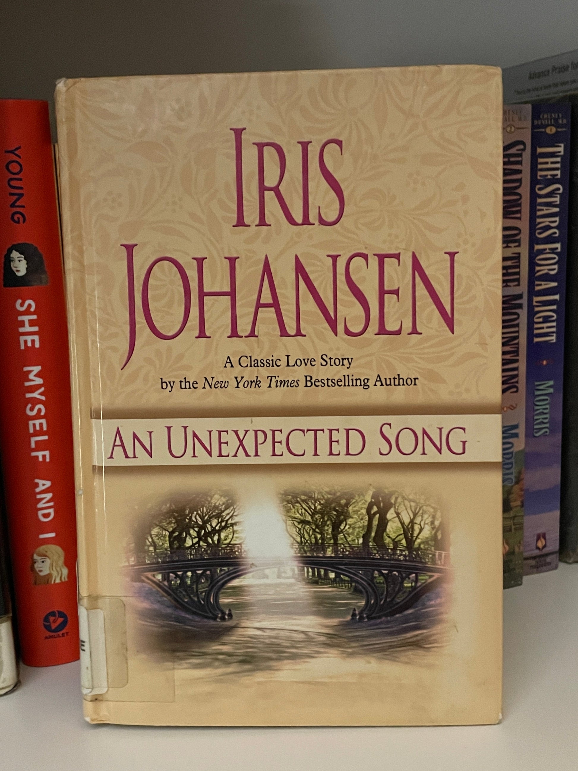 An Unexpected Song book cover