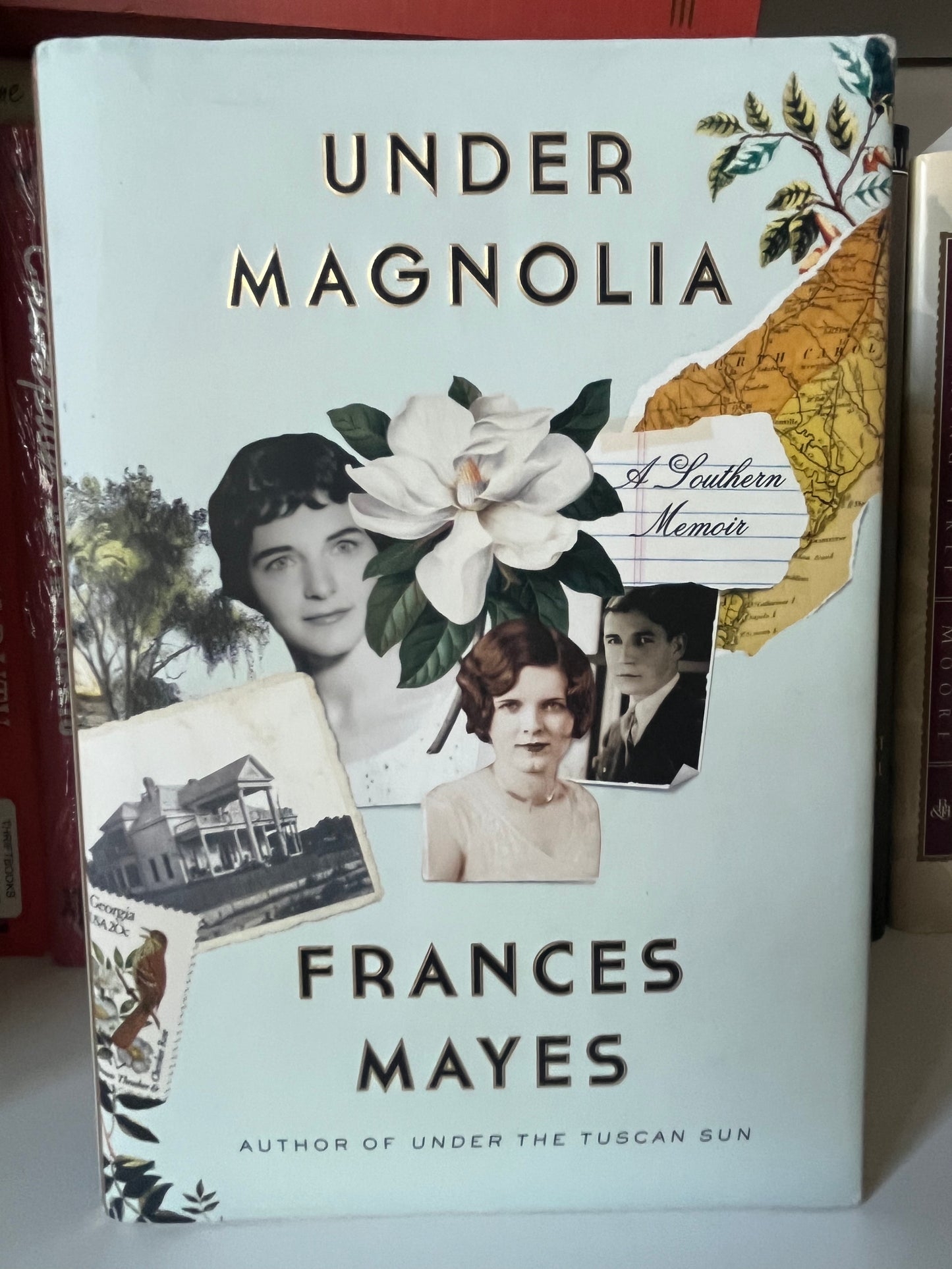 Under Magnolia: A Southern Memoir